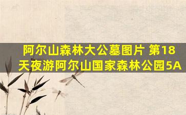 阿尔山森林大公墓图片 第18天夜游阿尔山国家森林公园5A